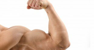 Muscle puissant de chez Wozata Muscle de chez Wozata